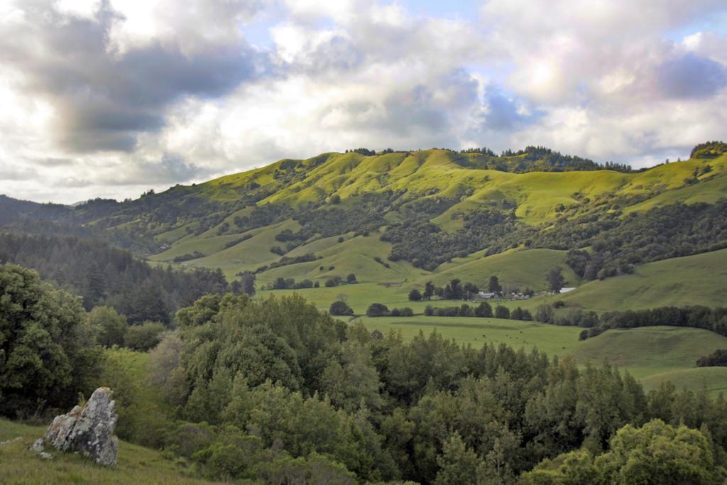 San Anselmo Inn Εξωτερικό φωτογραφία
