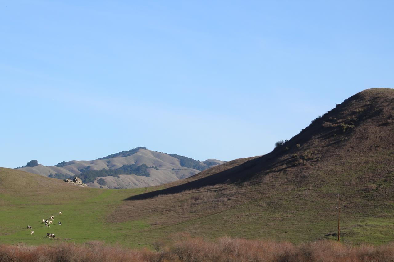 San Anselmo Inn Εξωτερικό φωτογραφία